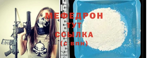 индика Володарск
