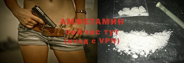 индика Володарск