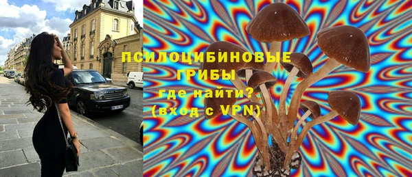 дурь Волоколамск