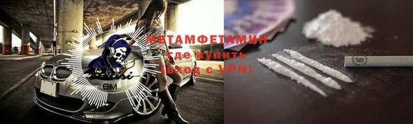 индика Володарск