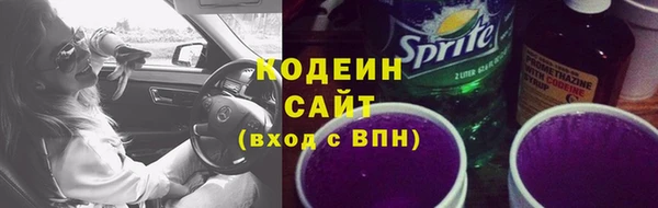 индика Володарск