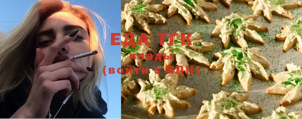 индика Володарск