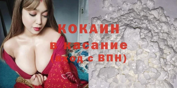 индика Володарск