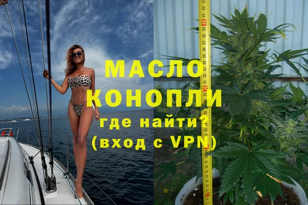 индика Володарск