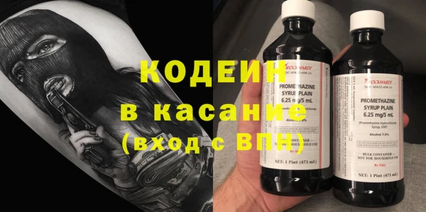 индика Володарск