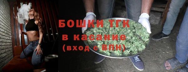 индика Володарск