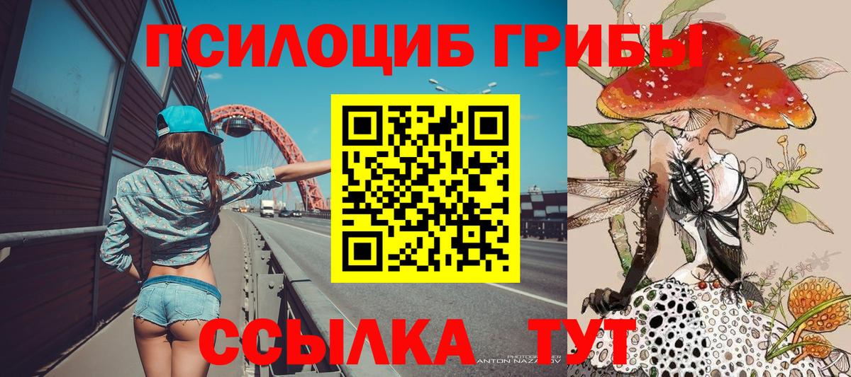 Псилоцибиновые грибы прущие грибы  Вход с VPN  продажа наркотиков  Назарово 