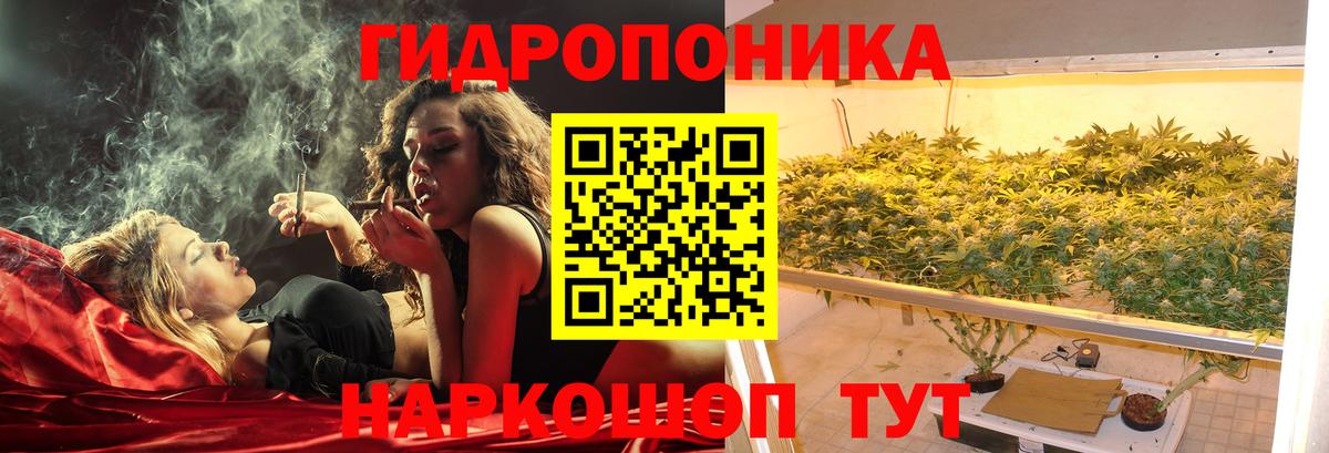 Бошки марихуана MAZAR  Вход с VPN  Конопля сатива  МАРИХУАНА White Widow  Назарово  Марихуана индика 